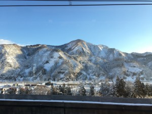 IMG_5223