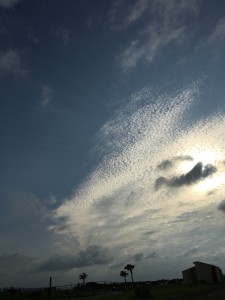IMG_8013